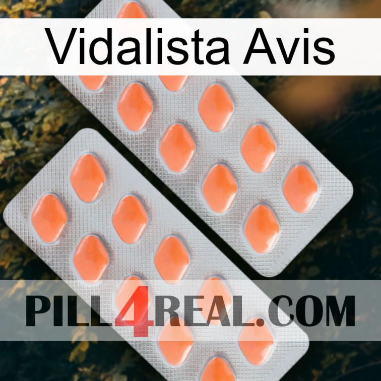 Vidalista Avis 27